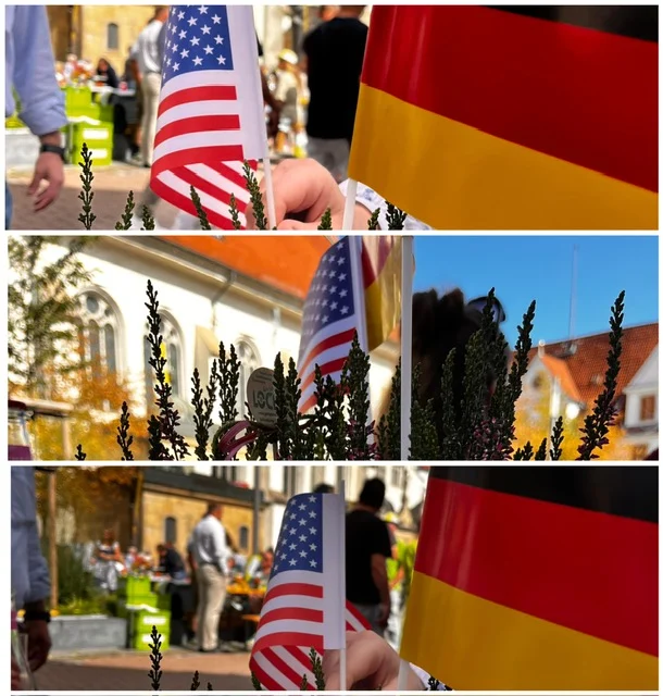 935ae677-5e87-4e74-8943-14f26c9de8d6